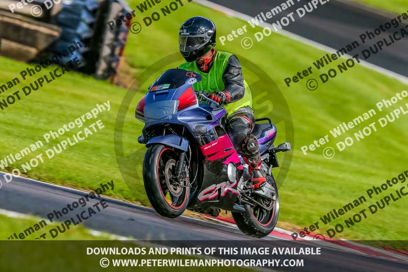PJ Motorsport 2019;anglesey;brands hatch;cadwell park;croft;donington park;enduro digital images;event digital images;eventdigitalimages;mallory;no limits;oulton park;peter wileman photography;racing digital images;silverstone;snetterton;trackday digital images;trackday photos;vmcc banbury run;welsh 2 day enduro
